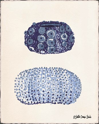 Framed From the Sea 1 Print