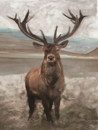 Framed Grand Elk 1 Print