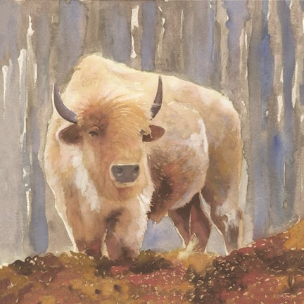 Framed White Buffalo Print