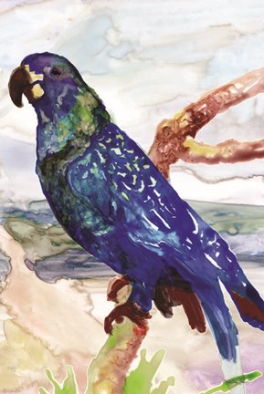 Framed Blue Parrot on Branch 2 Print