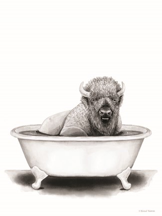 Framed Bison in Tub Print