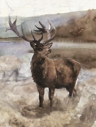 Framed Grand Elk 2 Print