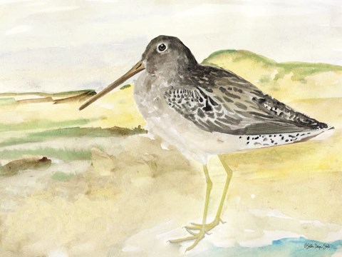 Framed On the Beach 2 Print