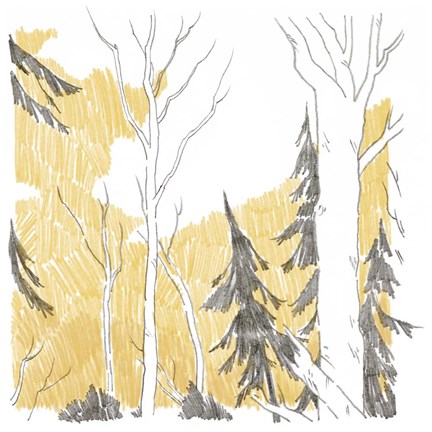 Framed Northwood I Print