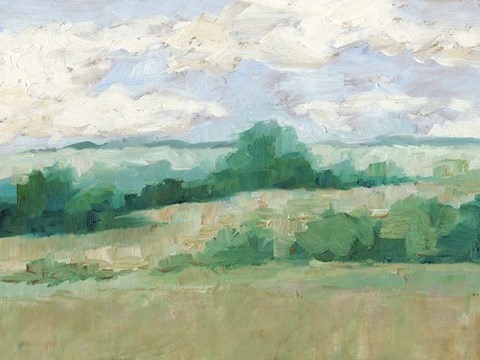 Framed Height of Summer I Print