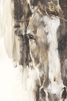 Framed Cropped Equine Study I Print