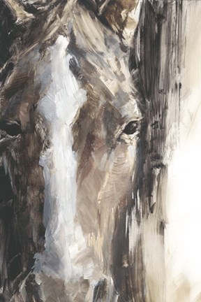 Framed Cropped Equine Study II Print