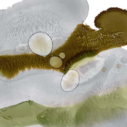 Framed Gold Deposit II Print