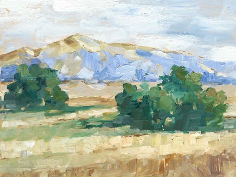 Framed Sunny Field II Print