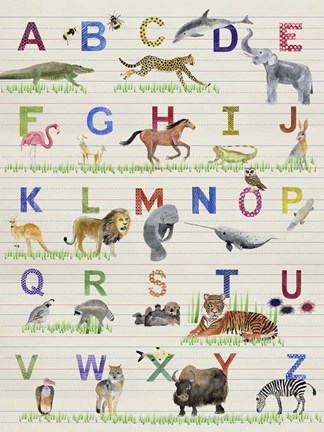 Framed Alphabet Animals Print