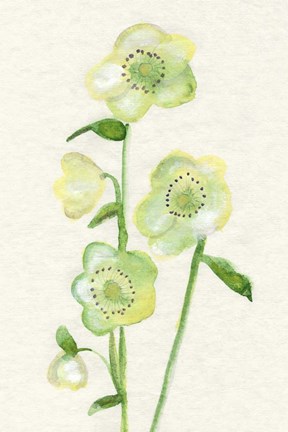 Framed Petite Fleur VI Print