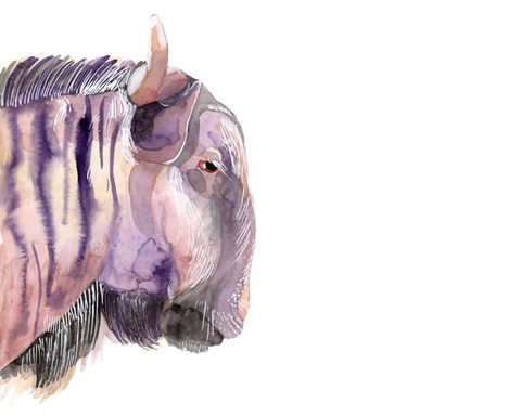 Framed Sunset Safari V Print