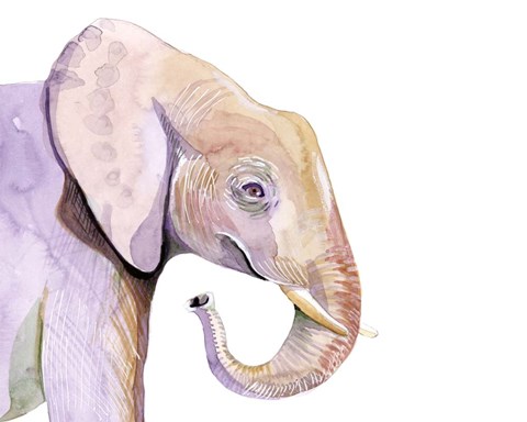 Framed Sunset Safari VII Print