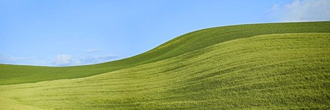 Framed Farmscape Panorama VIII Print