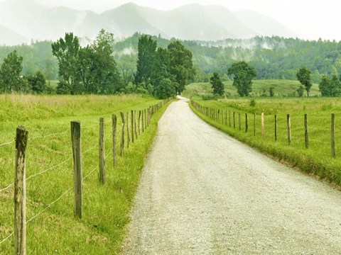 Framed Country Road Photo I Print