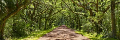 Framed Country Road Panorama IV Print