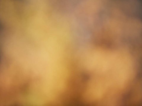 Framed Soft Landscape V Print