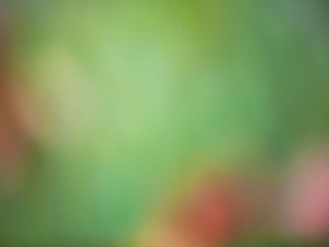 Framed Soft Landscape VIII Print