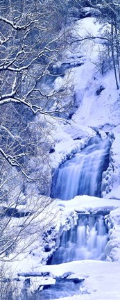 Framed Vertical Water IV Print