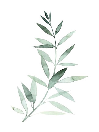 Framed Sea Glass Sprig II Print