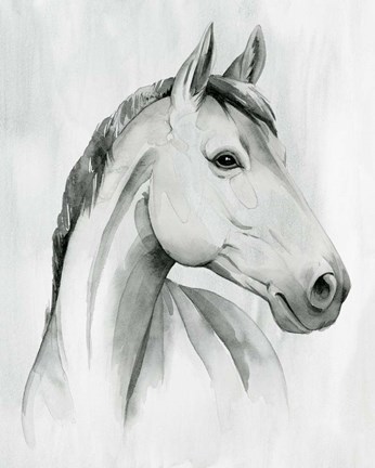 Framed Silver Gelding I Print