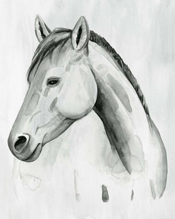 Framed Silver Gelding II Print