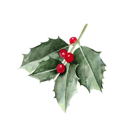 Framed Christmas Holly II Print