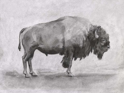 Framed Wild Bison Study I Print