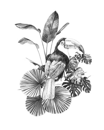 Framed Toucan Toile II Print