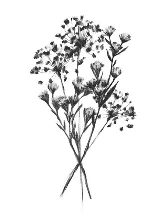 Framed Wild Roadside Bouquet I Print