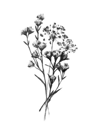 Framed Wild Roadside Bouquet III Print