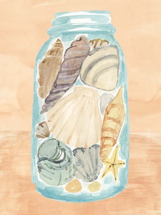 Framed Shell Collecting II Print