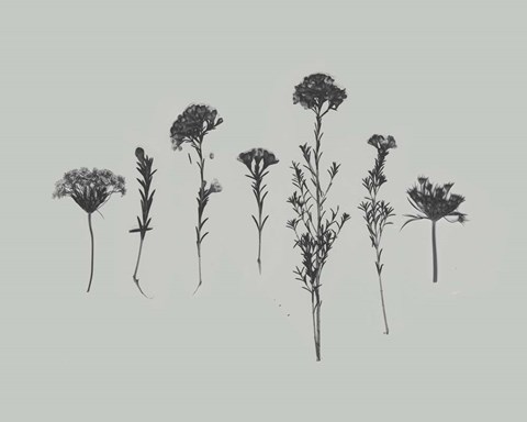 Framed Wildflower Memory II Print