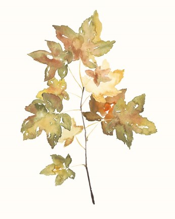 Framed Fall Study I Print