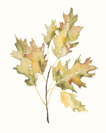 Framed Fall Study II Print