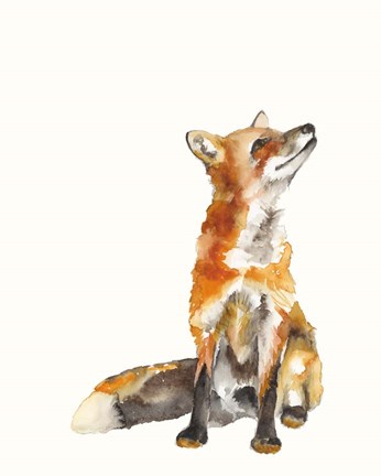 Framed Sly Fox I Print