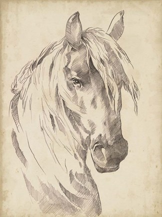 Framed Horse Portrait Sketch I Print