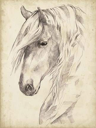 Framed Horse Portrait Sketch II Print