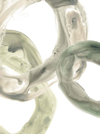 Framed Concentric Lichen III Print