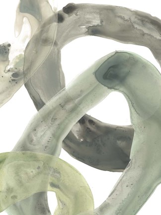 Framed Concentric Lichen IV Print