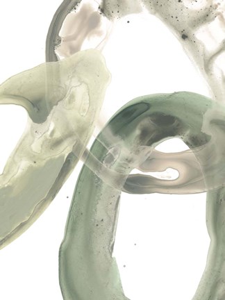 Framed Concentric Lichen V Print