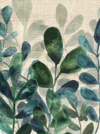Framed Verdant Sophistication II Print