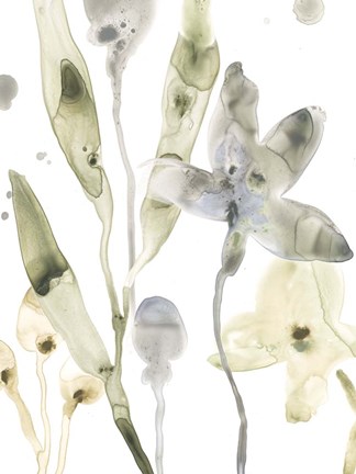 Framed Stone Moss Stems I Print