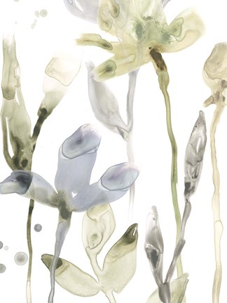 Framed Stone Moss Stems II Print