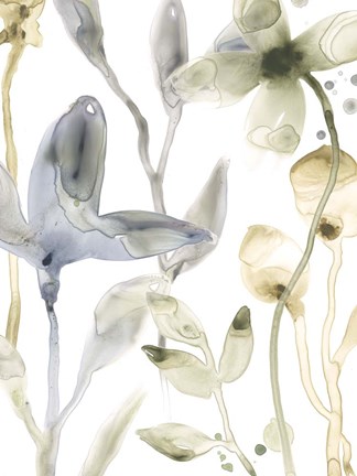 Framed Stone Moss Stems IV Print