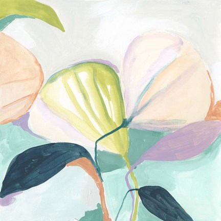 Framed Fan Flowers I Print