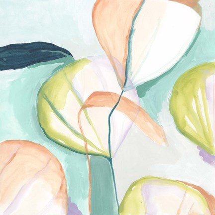 Framed Fan Flowers III Print