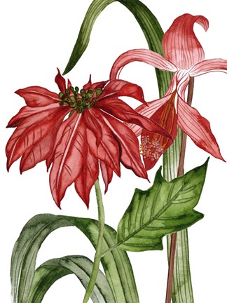 Framed Merry Blossom II Print