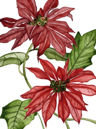 Framed Merry Blossom IV Print