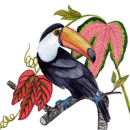 Framed Toco Toucan I Print